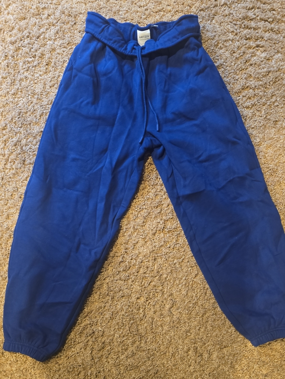 Aritzia Cobalt Blue Drawstring Joggers